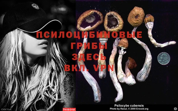молекула духа Балахна